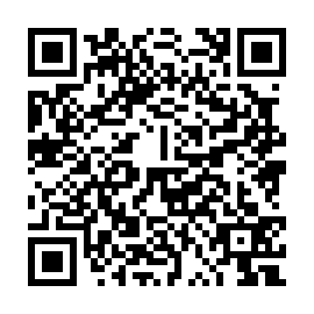 QR code for DVH0336