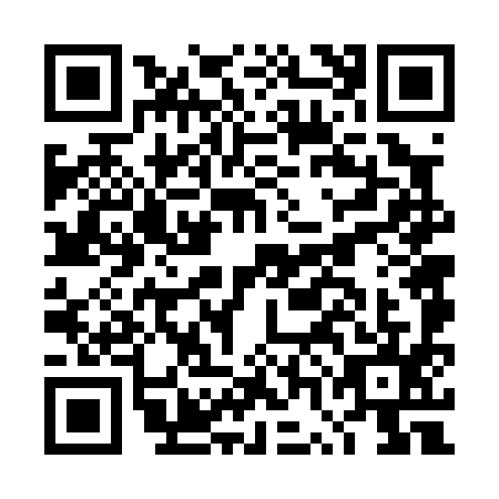 QR code for DWF0953