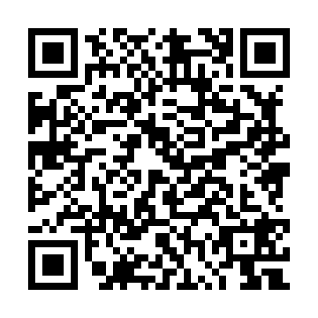 QR code for plate DWX-8282