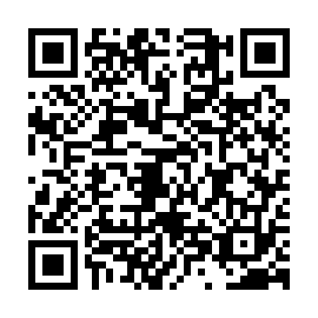 QR code for plate DXG-1739