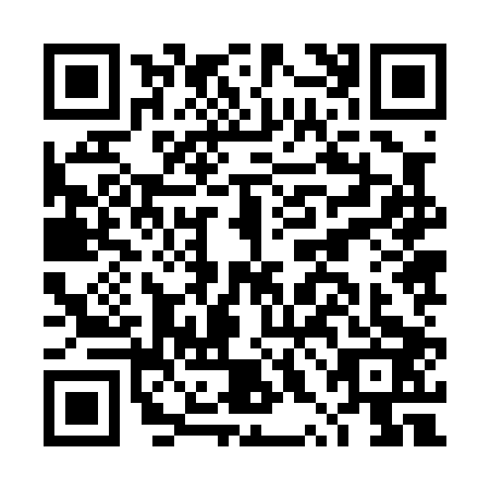 QR code for plate DXJ-0030