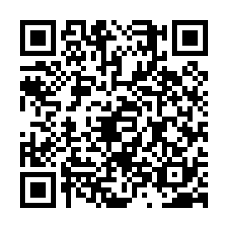 QR code for plate DXM-0304