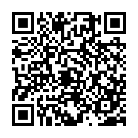QR code for DXQ-2461
