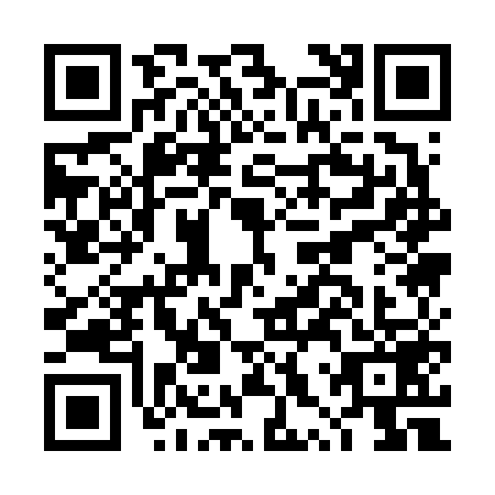 QR code for DXQ6594