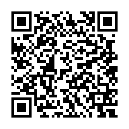 QR code for plate DXR-0601