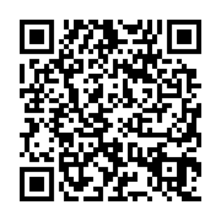 QR code for DYS-3011