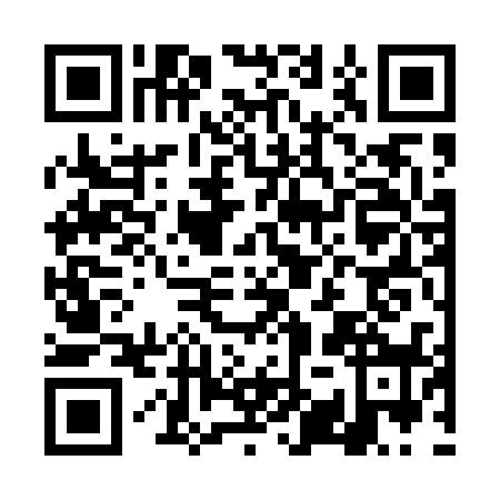 QR code for plate DYS-4388