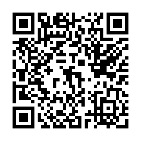 QR code for DYZ-9007