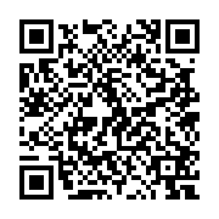 QR code for plate DZC-0028