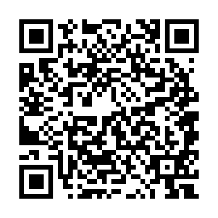 QR code for DZF-2919