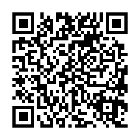 QR code for plate DZG-3850