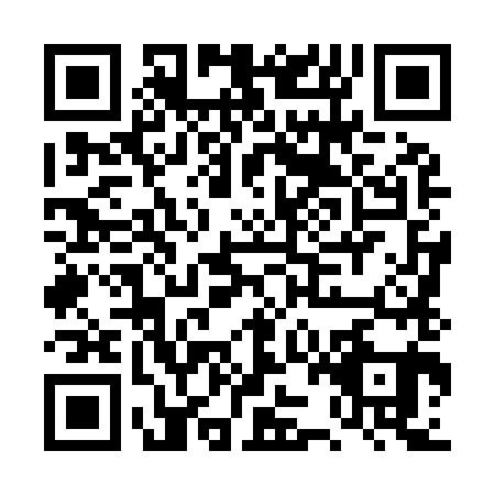 QR code for plate DZL-9810