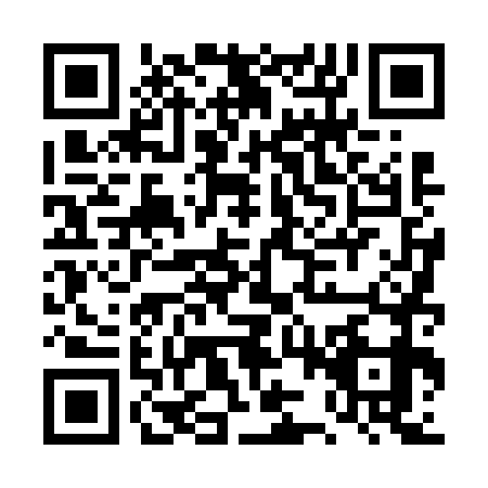 QR code for DZT6790