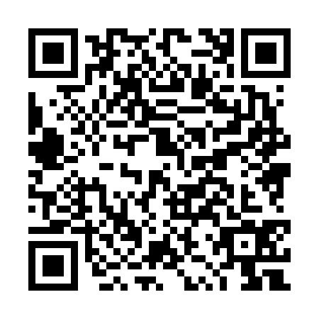 QR code for plate DZX-6345