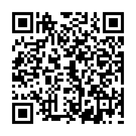 QR code for DZZ2905