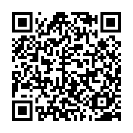 QR code for E11125