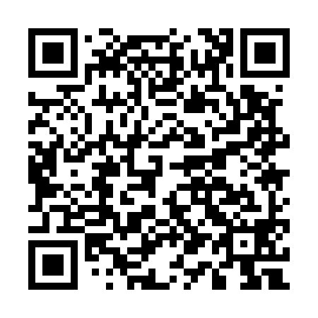 QR code for E11598