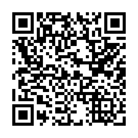 QR code for E11641