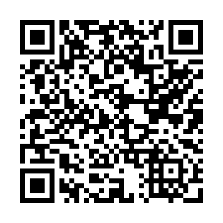 QR code for E12291
