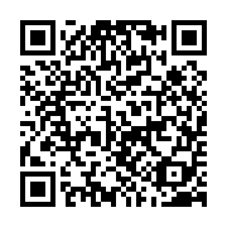QR code for E13159