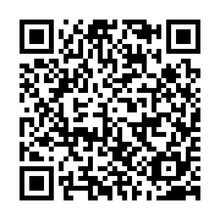 QR code for E13315