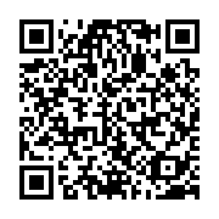 QR code for E13339