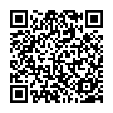 QR code for E13825