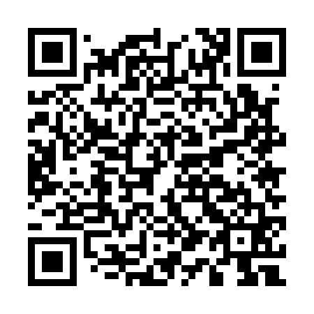 QR code for E15161