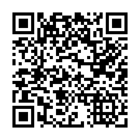 QR code for E17347