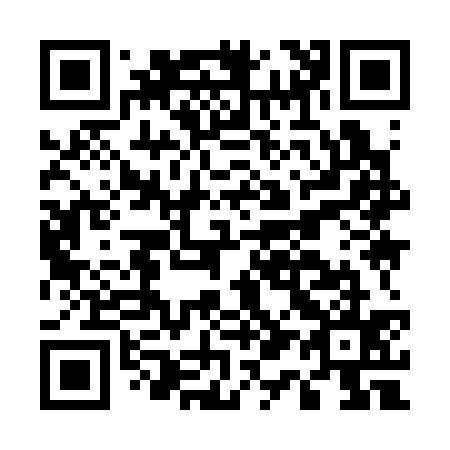 QR code for E19335