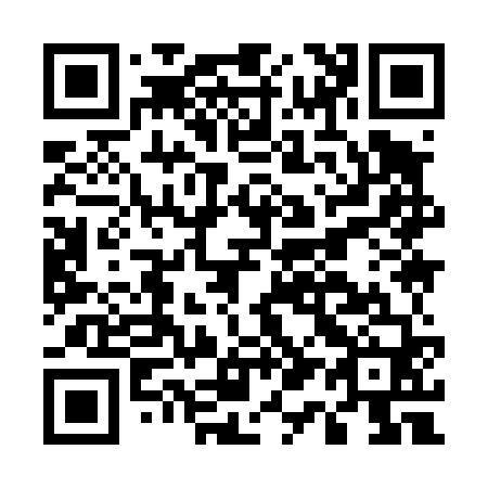 QR code for E19460