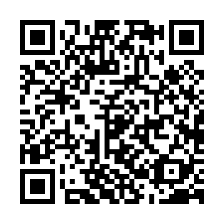QR code for E20029