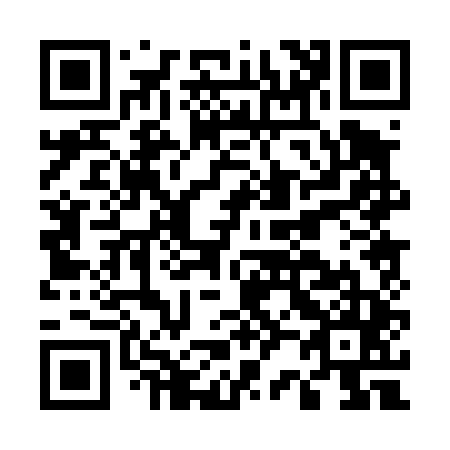 QR code for E20445