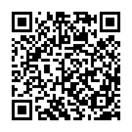 QR code for E20462