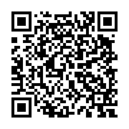 QR code for E20493