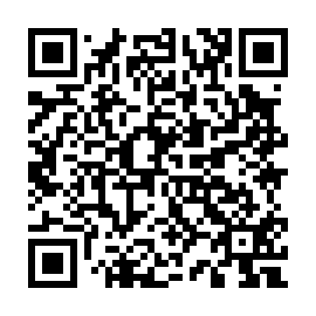 QR code for E29011