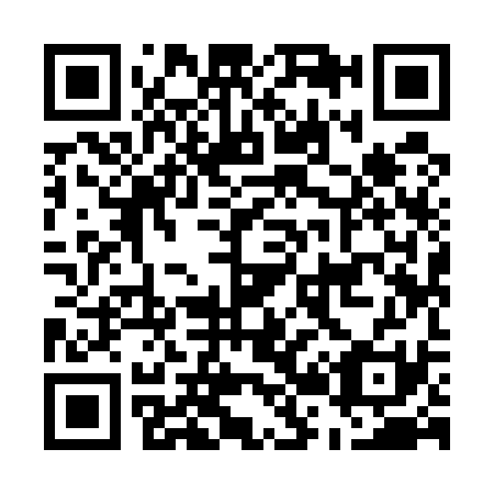 QR code for E29531