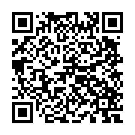 QR code for E33447