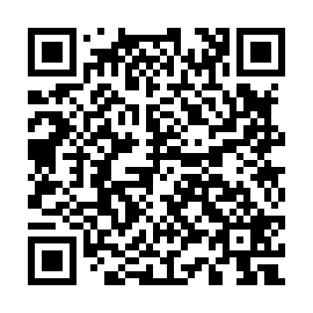 QR code for E33829