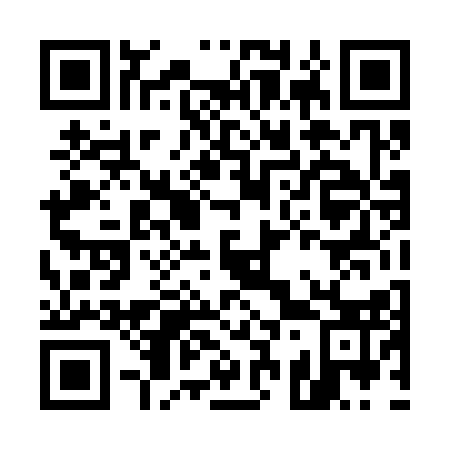 QR code for E34313