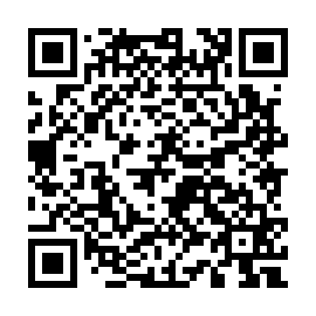 QR code for E38161