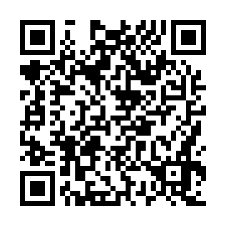 QR code for E38176