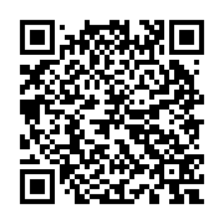 QR code for E38273