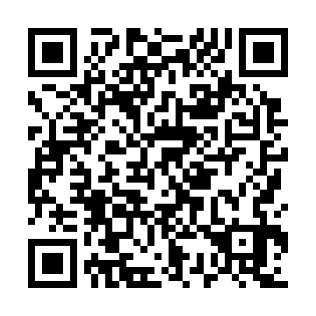 QR code for E38333