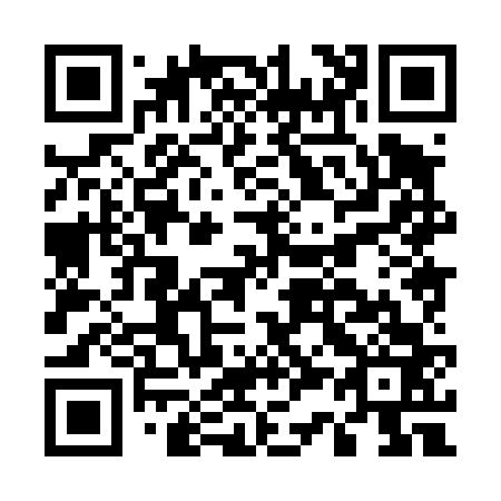 QR code for E38463