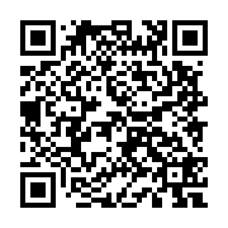 QR code for E38528