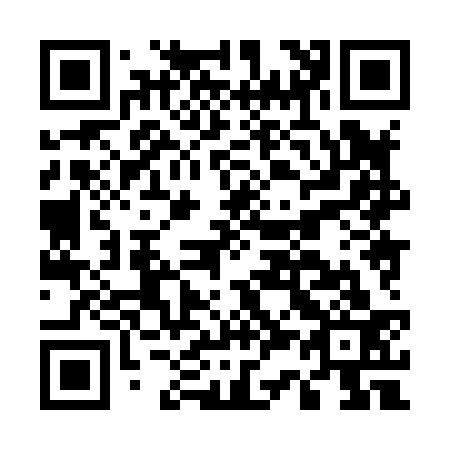 QR code for E38833