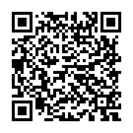 QR code for E38950