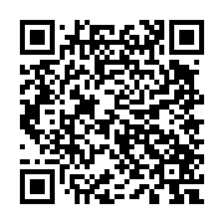 QR code for E45447