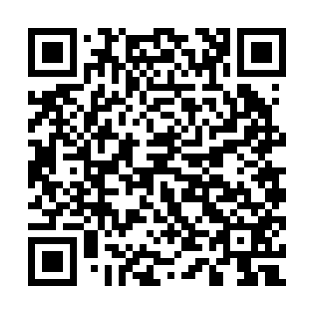 QR code for E46252